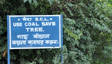 Use coal save tree